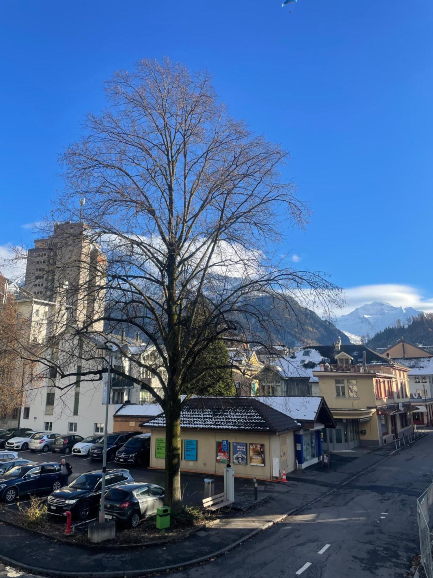 Modern City Apartments Interlaken Kültér fotó